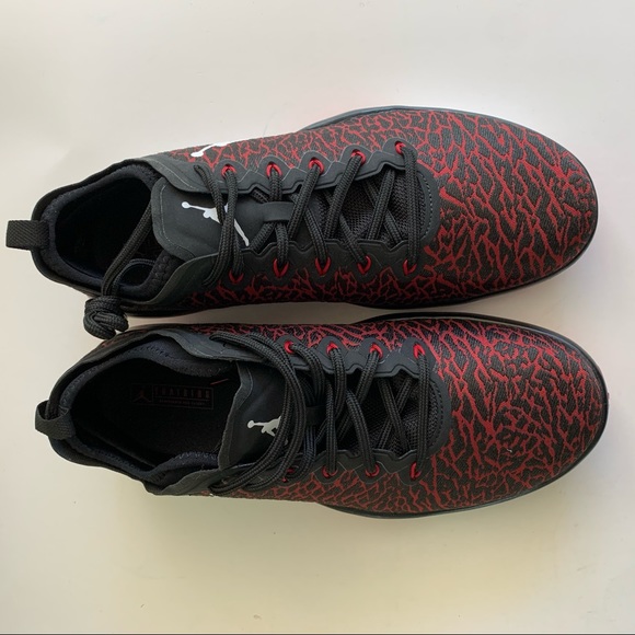 jordan air trainer 1